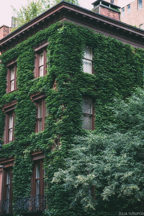 juliayusupov:overgrownprints / instagram 