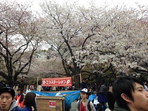 I was at the youtube hanami last weekend!! ^u^I met SOOO many of my fav J-vloggers, it was amazinggg