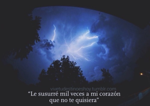 vivetudestinoeshoy:  Pero el corazón quiere lo que quiere, créditos por la cita.