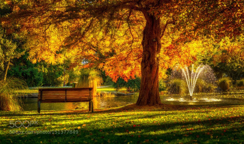 Queenstown Garden New Zealand 2 by RamelliSerge