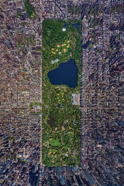 ponderation:  Central Park, New York, USA by AirPano