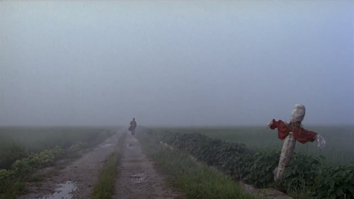 Memories of Murder (2003, dir. Bong Joon-ho)