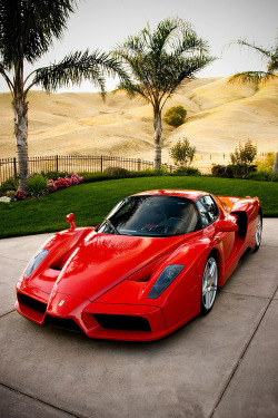 italian-luxury:  Signore Enzo | Ferrari Enzo