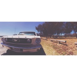 pauldambra:  Mondays should be renamed Mustangs.