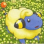 emareep