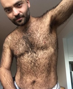 Hairy Men Heaven