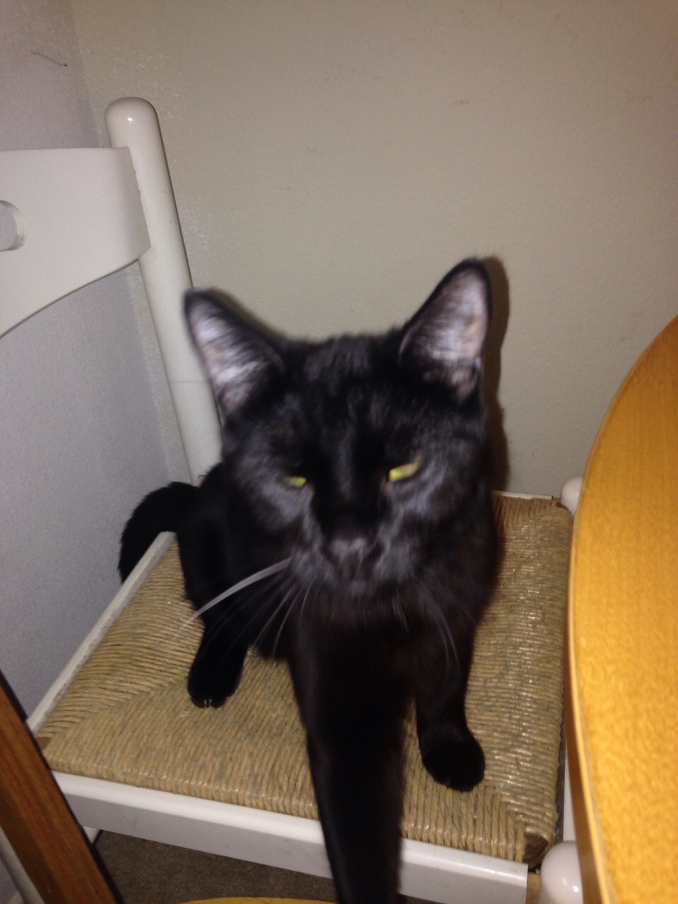 unflatteringcatselfies:  Batman has the ability to go from innocent baby-face to