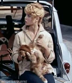 brigitteritajayne:Brigitte with a doggie in Une Parisienne, 1957