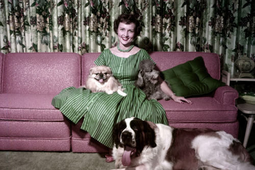 twixnmix:Betty White at home with her dogs Bandy, Stormy, and Danny in 1954.