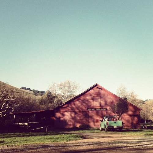 More scenes from the neighborhood. #eastbay #garin #parks #bayarea #garinpark (at Garin/Dry Creek Pi