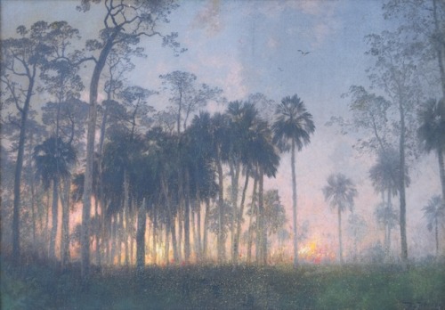 matgioi: Herman Herzog - Florida Palms and Sunset