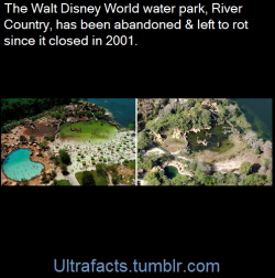 ultrafacts:(Fact Source) Follow Ultrafacts for more facts 