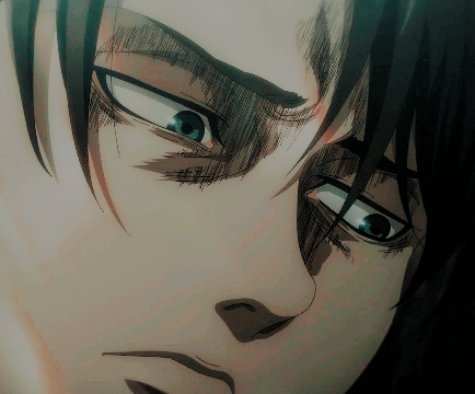 LEVI ACKERMAN The Final Season
