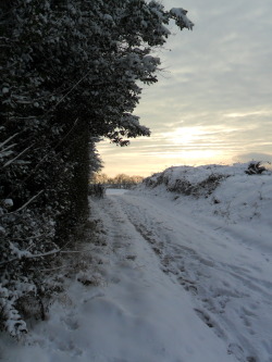 vwcampervan-aldridge:  Dusk over Druids Heath, Aldridge, Walsall, England. 