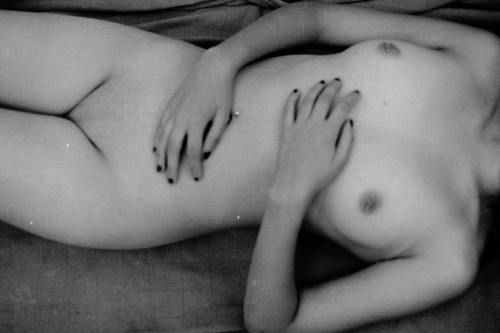 rachelthorsonphoto:  nudes shot based on the style of Edward Weston   September 2015   voll schön