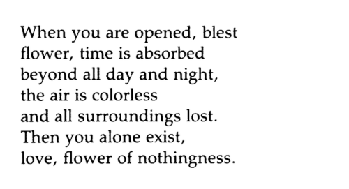 Diego Valeri, from Flower of Nothingness (tr. by Michael Palma)