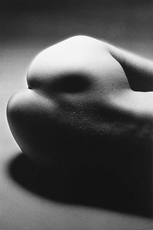 nevver:  Shadow Lines, Jeanloup Sieff  porn pictures