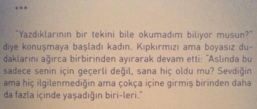 bir tarafta istekli iki kol arasında, uysal bir mermer gibi tepkisiz duran bir vücut bir tarafta sonbaharın hüznüyle pekişen kırmızı şarap fıçısı bir -de sevdiğin ama hiç ilgilenmediğin,, ama çokça içine girmiş biri.