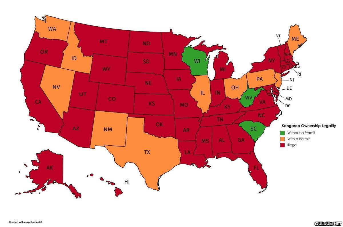 The legality of owning a...