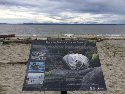 Meadowdale Beach Park, 04.23.16 by: pnwtexan &hellip; I recently moved to the Lynnwood area and 