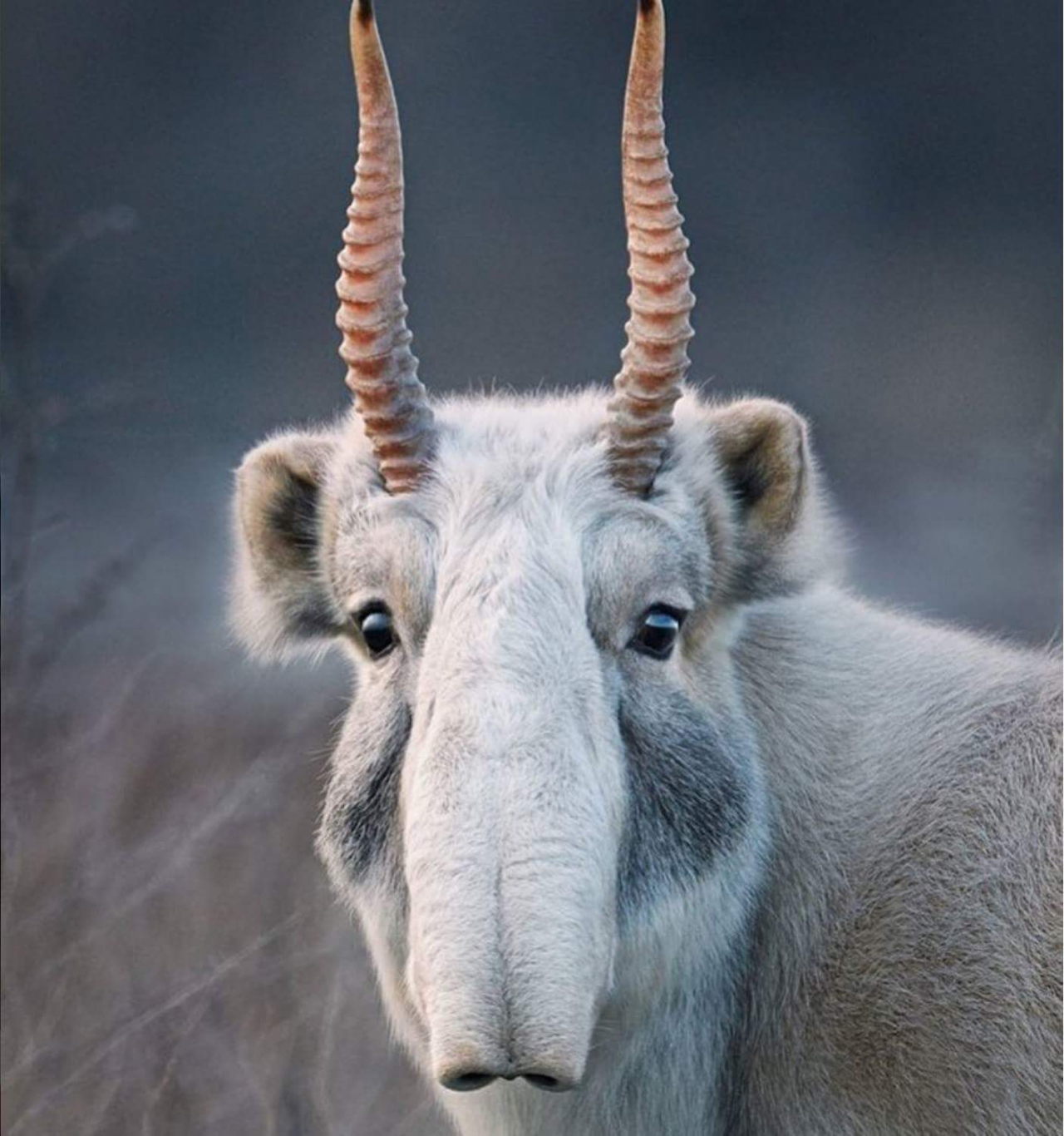 hi.