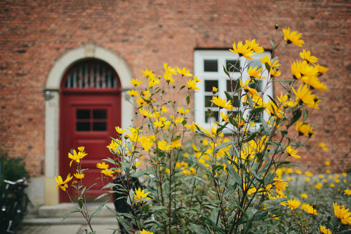 petalier:305/365 Copenhagen Day 4 by M. Klasan on Flickr.