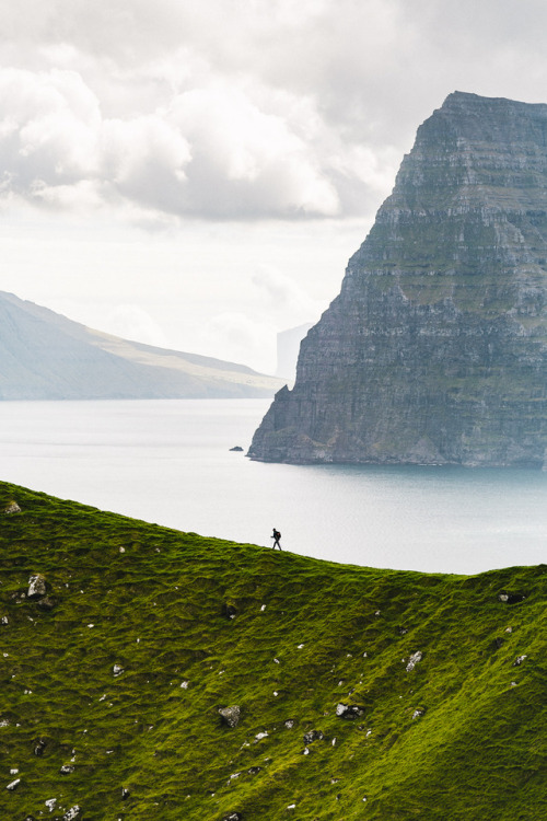 stephaniedolen:kalsoy