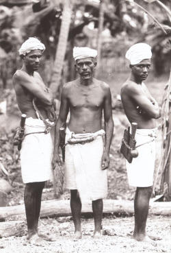 Coconut Tree Climbers  Via Kalli Valli.   