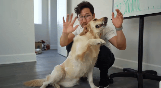 lettodaybeareasontosmile:  Floofy Baby