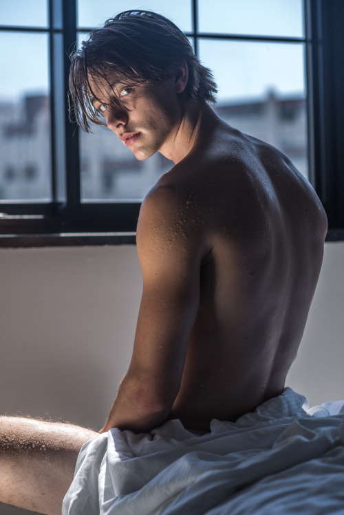 MuscleVision