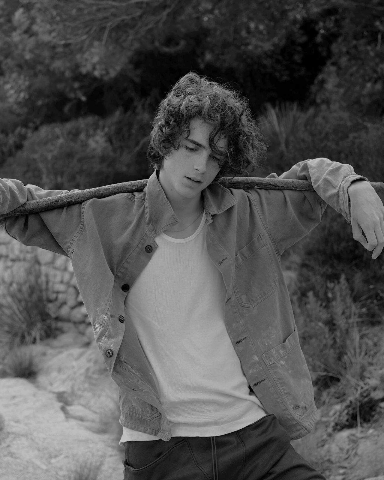 Appreciate something. Тимоти Шаламе. Elio Chalamet Беллами. Шаламк.