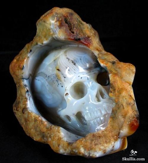 Sex sixpenceee:  A compilation of carved skulls. pictures