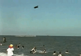 celer-et-audax:  The infamous Harrier crash at Lowestoft beach air festival in 2002.