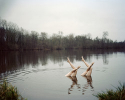 disclosur:  Synchronized Swimming, by Jean-Baptiste