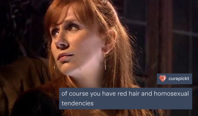 Photo of Donna Noble, red hair half tied up. Textbox reads: Of course you have red hair and homosexual tendencies.