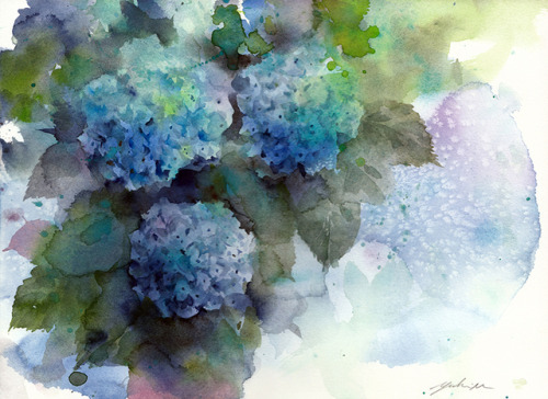 水の器 (hydrangea) Jun.15,2019watercolorsize：333*242mm (F4)paper：water ford white (細目・300g/m2)