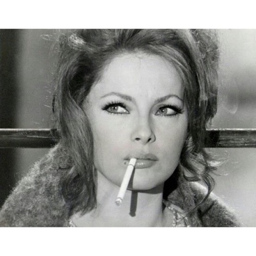 grindhousetheater.tumblr.com/post/142614456355/