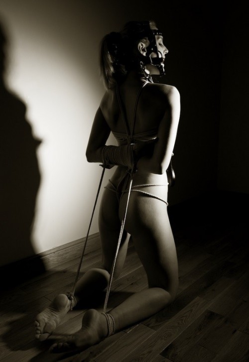 bridle-and-bit:  Reined-in.