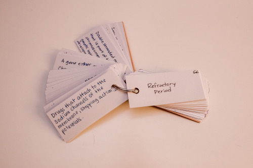 noniv:  Here are some terms from my Biological Psychology course. This Muji memo key-ring really hel