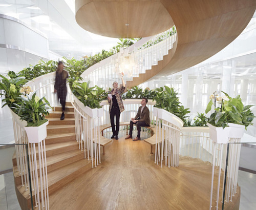 culturenlifestyle:  The Living Staircase by Paul Cocksedge Studio Paul Cocksedge Studio has constructed a vertical and horizontal staircase with the purpose of having an open room for relaxation and socialization. Constructed as a 12 meter high spiral