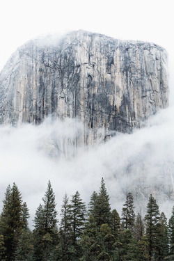 forehsts: abovearth: Yosemite National Park