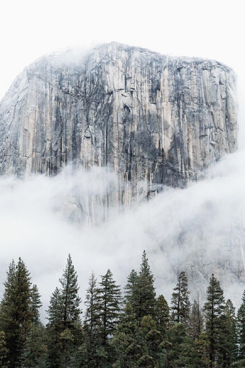 Porn photo forehsts: abovearth: Yosemite National Park