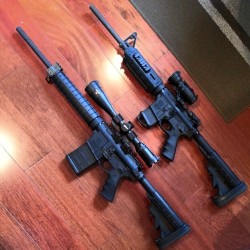 chaos-explorer:  M&amp;P10 vs M&amp;P15