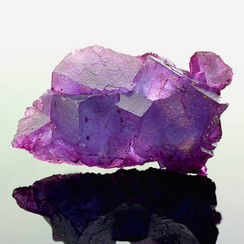 Fluorite - Cave In Rock District, Illinois