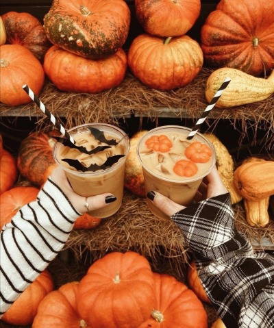 All Things Autumn on Tumblr