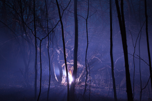 leslieseuffert:Amelia Bauer, ‘Burned Over’ in the forests of Central New York. Inspired by the myste