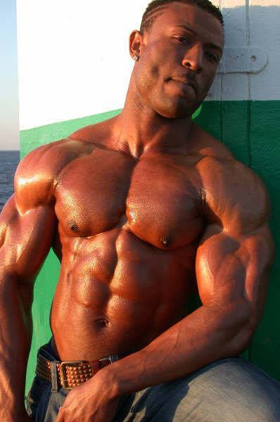 The Terminator