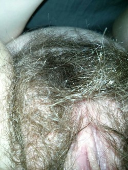 ex6wife9girlfriends:   Exclusive! Hairy pregnant girlfriend spreading that lovely hairy bush. Email your hairy girlfriends , wives, or sexy friends pics to contribute. rich@rmd3.net  this reminds me of a full head of hair.