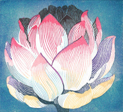 nijinoink:  はす　Lotus 90×100mm, Eraser prints,　yasuko aoyama  2014.11 