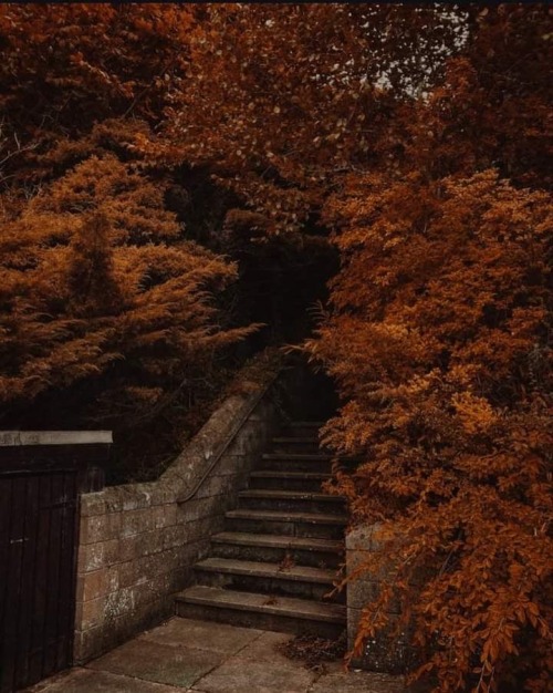 Happy Autumn